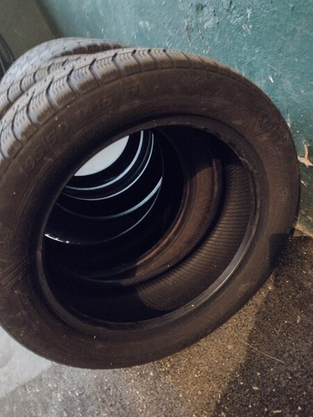 Anvelope iarna 195/50 R15